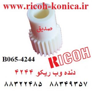 دنده وب ریکو 4244 b0654244 b065-4244 b065 4244 Gear - 23Z Oil Supply Roller
