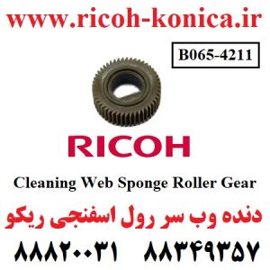 دنده وب سر اسفنجی ریکو Cleaning Web Sponge Roller Gear 9003