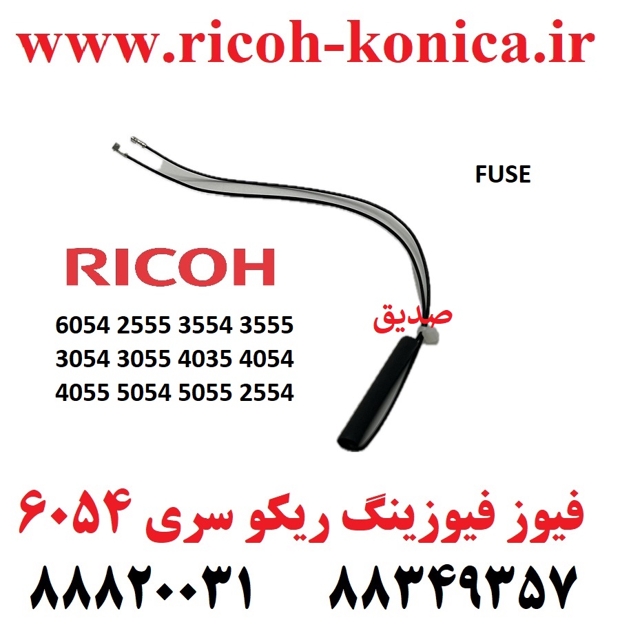 فیوز فیوزینگ ریکو 6054 2555 3554 3555 3054 3055 4035 4054 4055 5054 5055 2554 D869 Fuse
